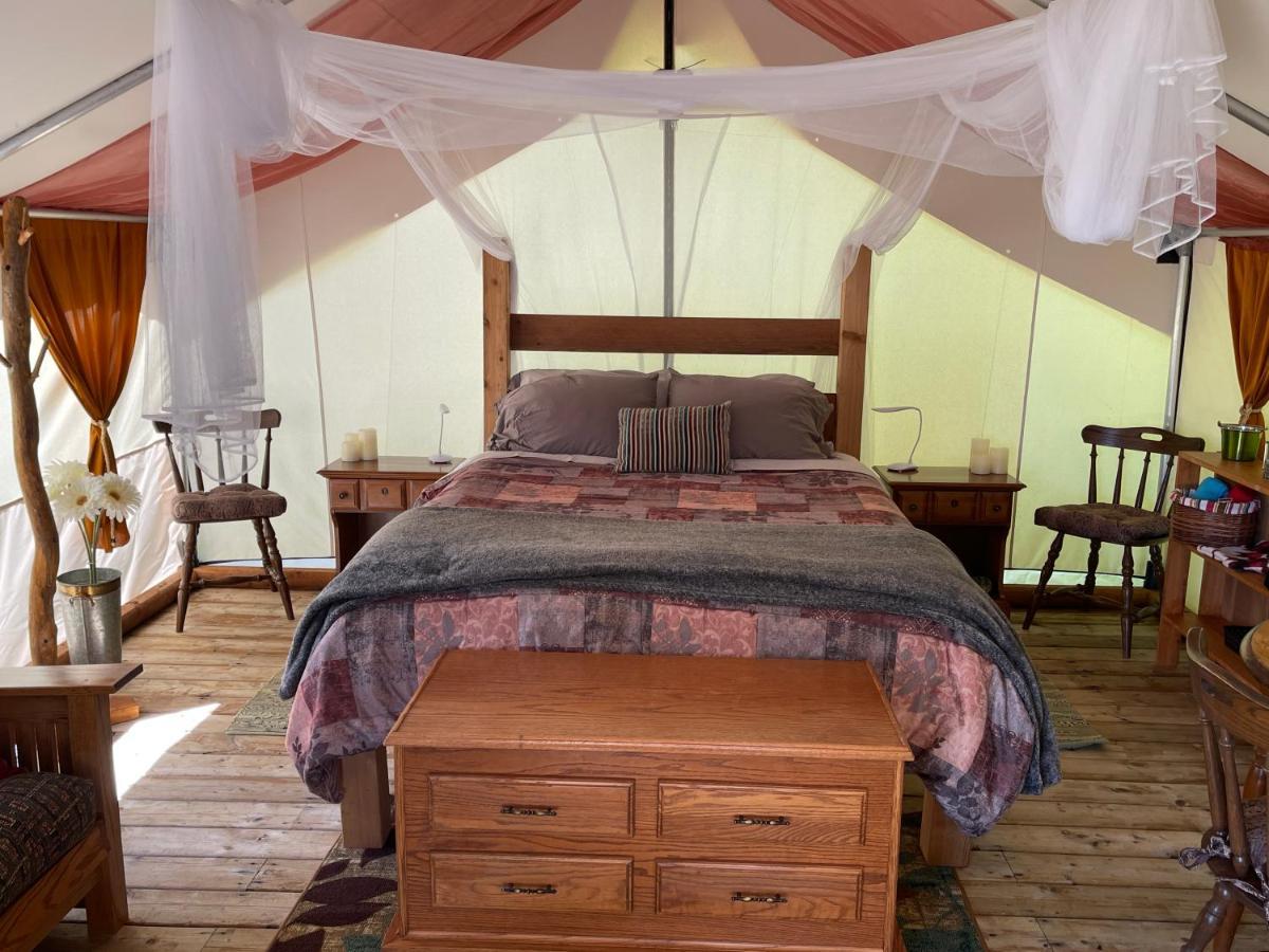 So Damn Lucky Glamping Hotel Ucluelet Exterior photo