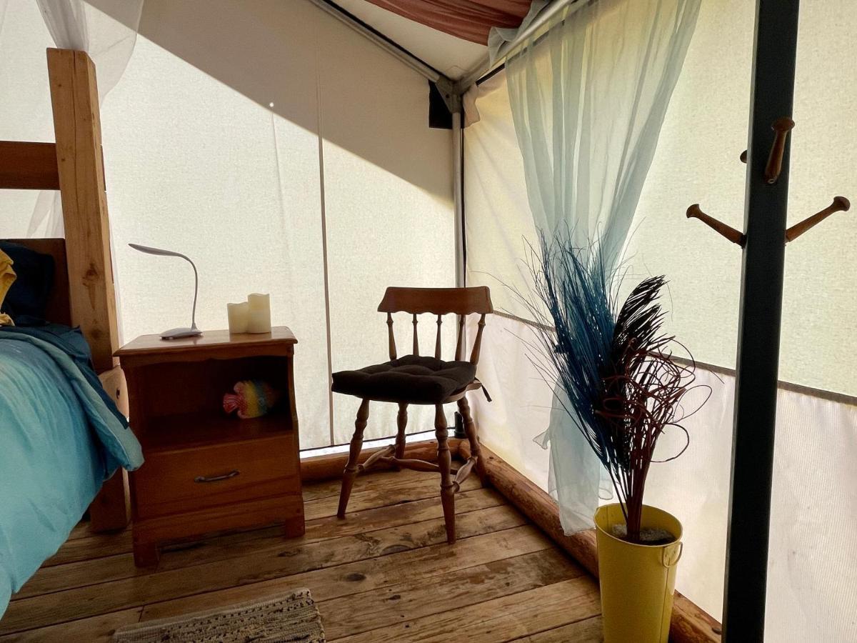 So Damn Lucky Glamping Hotel Ucluelet Exterior photo