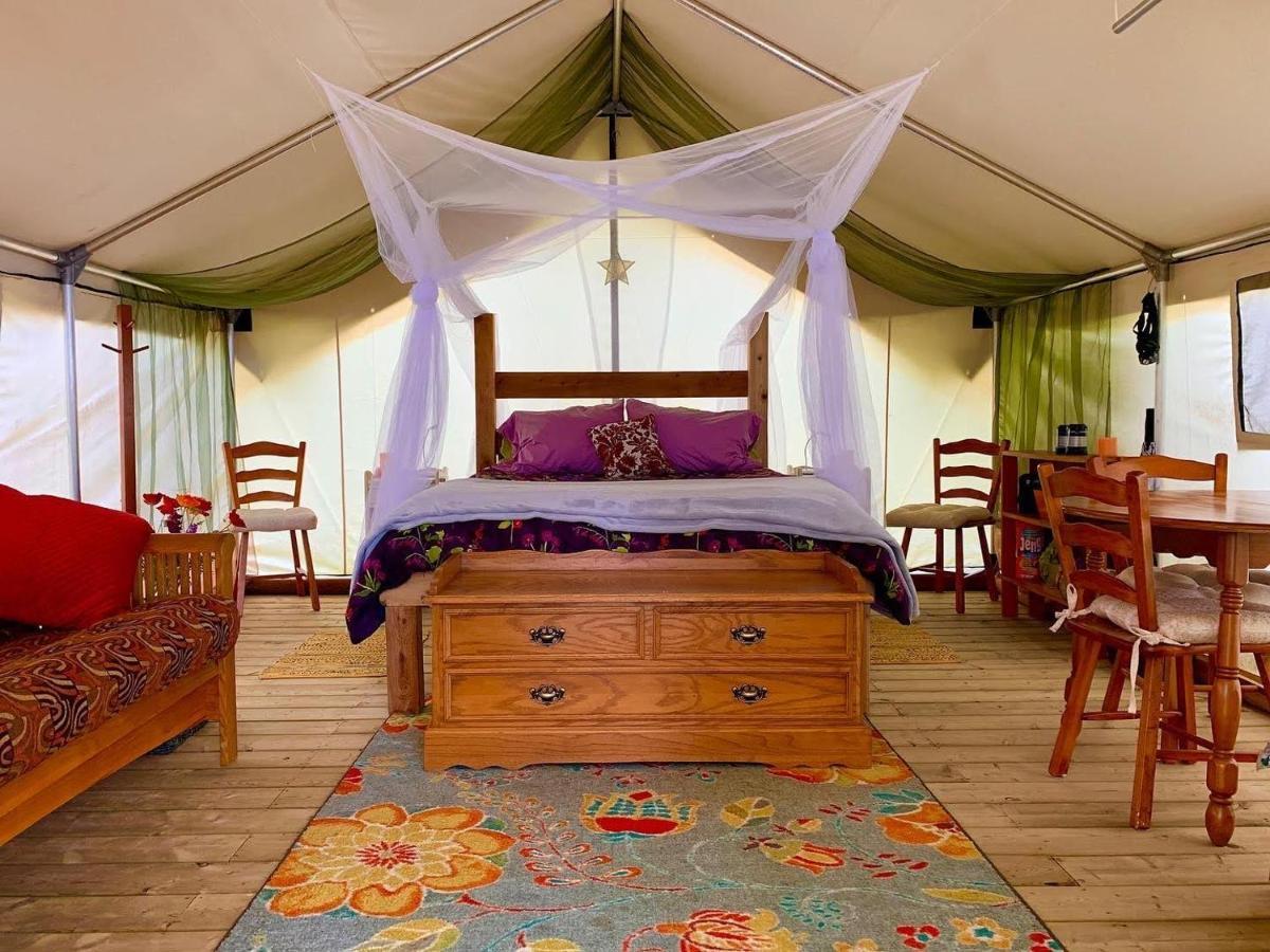 So Damn Lucky Glamping Hotel Ucluelet Exterior photo